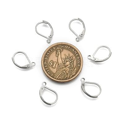 Tarnish Resistant Stainless Steel Color Tone 304 Stainless Steel Leverback Earring Findings X-STAS-E007-3-1