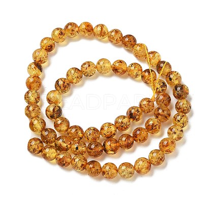 Natural Amber Beads Strands G-K387-D02-01-1