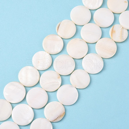 Natural Freshwater Shell Beads X-S00C20W3-1