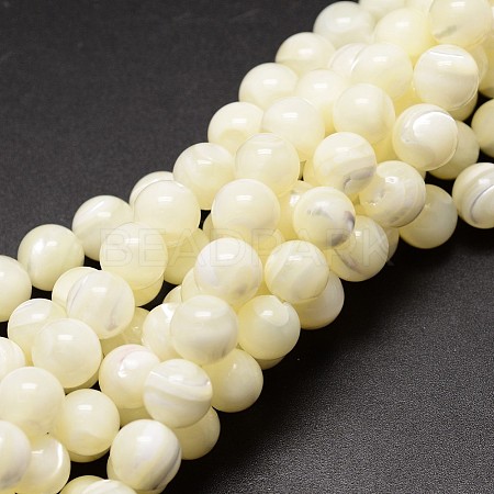 Shell Beads Strands SSHEL-E571-39-8mm-1