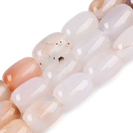 Natural Agate Beads Strands G-N356-02B-13-1