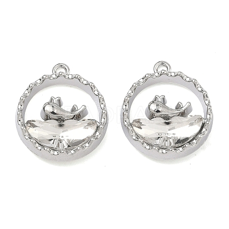 Alloy Glass Pendants FIND-B061-05P-A04-1