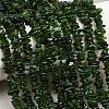 Natural Green Diopside Beads Strands G-P615-B01-01-1