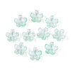 Baking Paint Transparent Glass Bead Caps DGLA-N014-06A-04-1