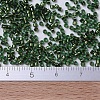 MIYUKI Delica Beads Small X-SEED-J020-DBS0182-4