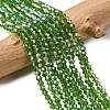 Glass Beads Strands EGLA-S056-3mm-06-5