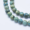 Natural Aqua Terra Jasper Beads Strands G-E444-14A-8mm-3