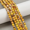 Dyed Natural Regalite/Imperial Jasper/Sea Sediment Jasper Beads Strands G-B124-C04-04-5