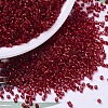 MIYUKI Delica Beads X-SEED-J020-DB0602-1