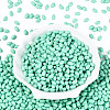 Baking Paint Glass Seed Beads SEED-T007-15K-2