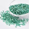 Glass Bugle Beads SEED-E001-12mm-178-1