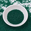 MIYUKI Delica Beads X-SEED-J020-DB0776-2