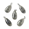 Natural Labradorite Pendants G-P474-01P-07-1