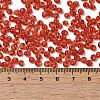 Transparent Colours Glass Seed Beads X1-SEED-P006-02A-06-4