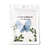 Transparent Epoxy Resin Cabochons RESI-A044-01B-2