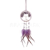 Iron & Natural Amethyst Woven Web/Net with Feather Pendant Decorations PW-WG44935-04-1