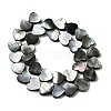 Natural Black Lip Shell Beads Strands BSHE-D300-06A-2