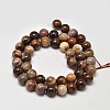 Natural Petrified Wood Round Bead Strands X-G-F266-08-8mm-2