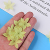 Transparent Acrylic Beads MACR-S373-127-D06-2