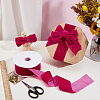 Velvet Spandex Ribbon OCOR-WH0082-467F-4