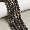 Natural Syenite Beads Strands G-K376-F09-01-1
