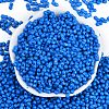 Baking Paint Glass Seed Beads X1-SEED-K010-A15-3