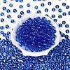 FGB Transparent Glass Seed Beads SEED-N013-01C-11-3