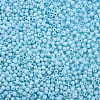 13/0 Glass Seed Beads SEED-T005-14A-A16-3