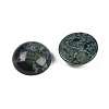 Natural Kambaba Jasper Cabochons G-T020-18mm-34-2