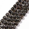 Natural Fluorescent Syenite Rock(Glow under UV Light) Beads Strands G-G990-F01-1