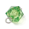 Transparent Acrylic Pendants PALLOY-JF04258-02-5