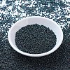 MIYUKI Round Rocailles Beads SEED-X0054-RR0455-2