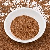 MIYUKI Delica Beads SEED-MY11-DB2287-2