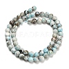 Natural Larimar Beads Strands G-L642-B19-6mm-3