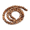 Natural Tibetan 3-Eye dZi Agate Beads Strands G-A240-A01-01-3