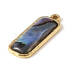 Paua Shell Pendants SSHEL-B145-01B-G-2