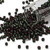 TOHO 6/0 Round Beads SEED-XTR06-2204-1