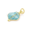 Brass Enamel Pendants KK-U066-19G-2
