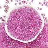 6/0 Spray Paint Fringe Glass Seed Beads X1-SEED-H003-11J-3