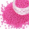 12/0 FGB Grade A Round Glass Seed Beads SEED-N001-A-1044-1