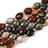 Natural Picture Jasper Beads Strands G-N342-35-8x6-09-2