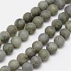 Natural Labradorite Frosted Bead Strands G-O155-04B-6mm-1