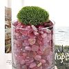 Dyed & Heated Natural Agate Beads X1-G-J402-04D-05-3