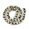 Handmade Foil Glass Lampwork Beads Strands DICH-T023-02D-2
