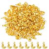 Iron Bead Tips IFIN-YW0001-50G-1