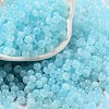 Glass Seed Beads SEED-M011-02A-06-1