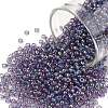 TOHO 11/0 Round Beads SEED-JPTR11-0166D-1
