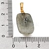Natural Labradorite Pendants G-T151-02B-3