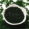 Transparent Colours Glass Seed Beads SEED-P006-02A-01-2