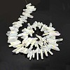 Natural Electroplated Quartz Crystal Beads Strands G-F212-01-2